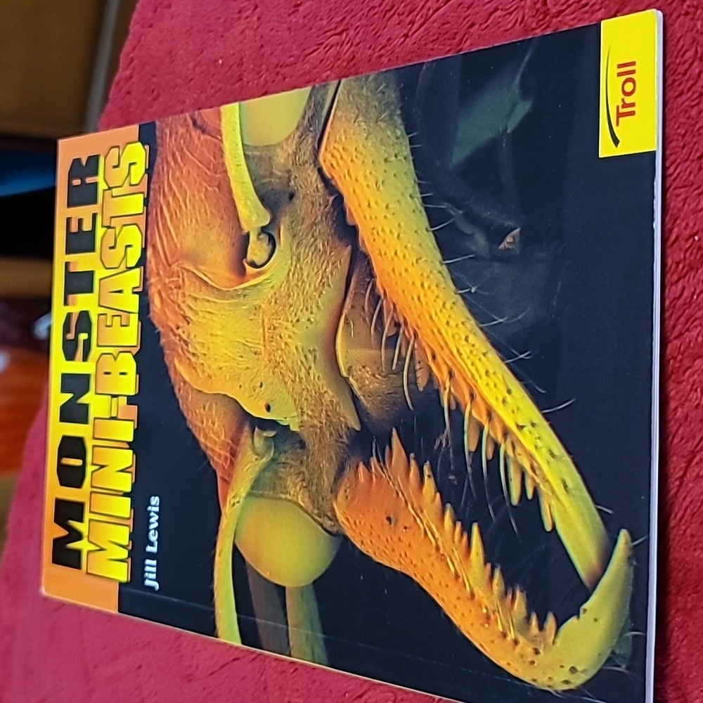 Monsters Mini Beasts Educational Reader Booklet Edition